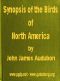 [Gutenberg 42832] • A Synopsis of the Birds of North America